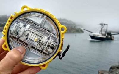 LED Lights Offer Potential Solution To Chronic Bycatch Problem in Alaska Fisheries