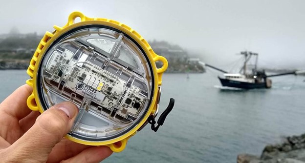 LED Lights Offer Potential Solution To Chronic Bycatch Problem in Alaska Fisheries