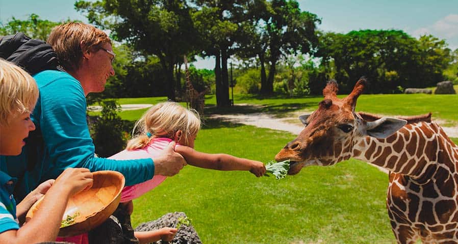 outdoor digital signage solutions