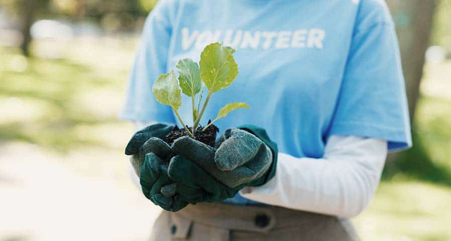 Earth Day for Businesses